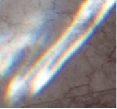 Muslims and Christians United in the Oneness of God through Faith, Worship and Reason